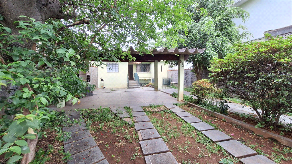 Casa para venda na Vila Maria terreno 220 metros quadrados