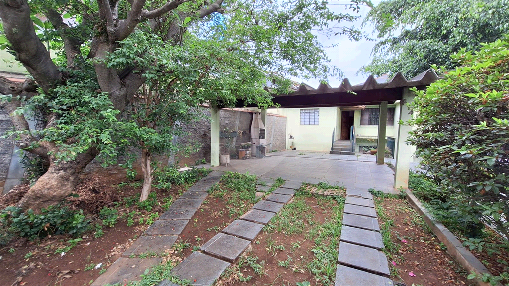 Casa para venda na Vila Maria terreno 220 metros quadrados