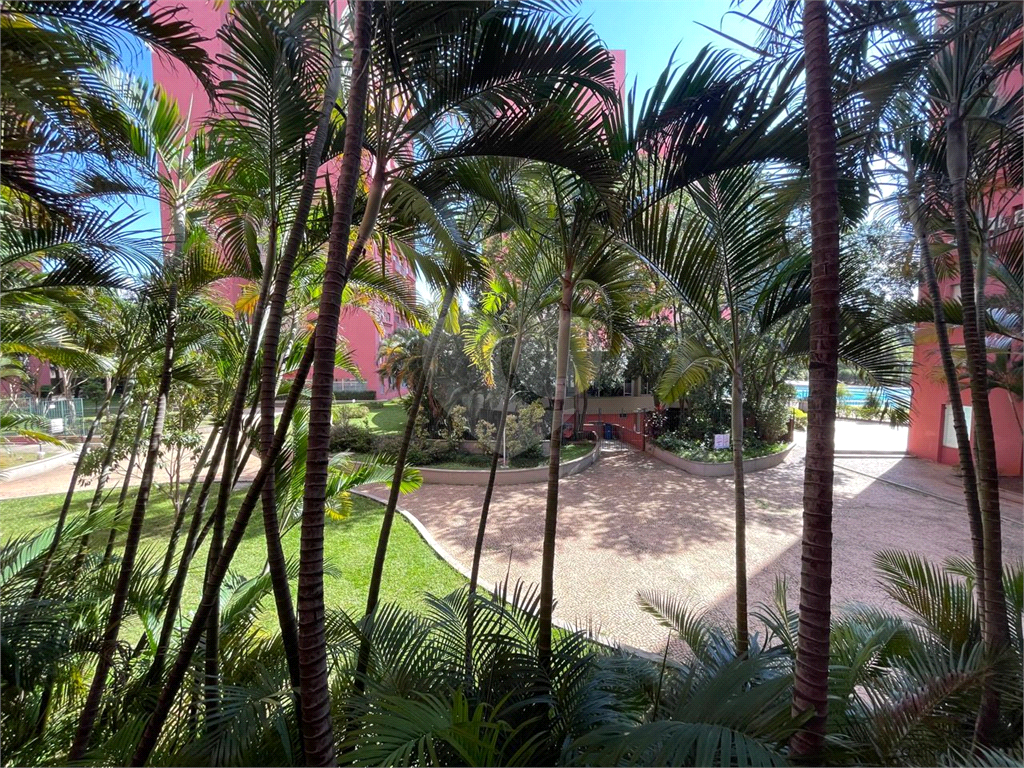 APARTAMENTO em CASA VERDE