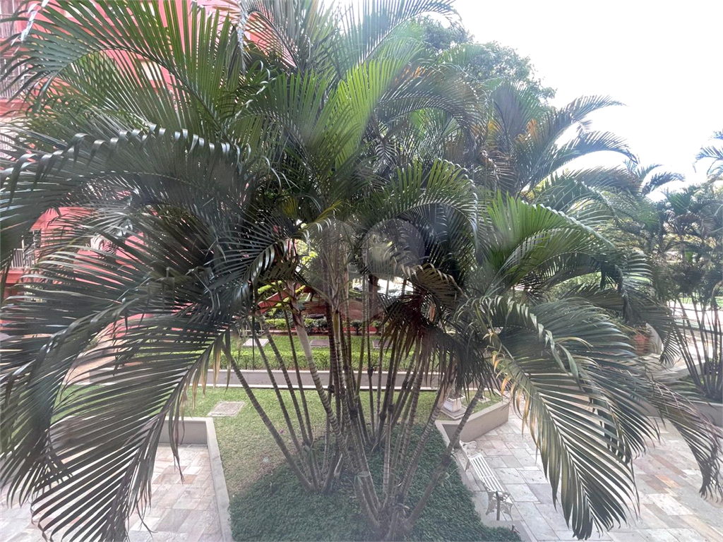 APARTAMENTO em CASA VERDE