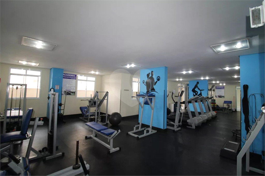 Apartamento 3 dormitórios 2 vagas a venda Mandaqui 