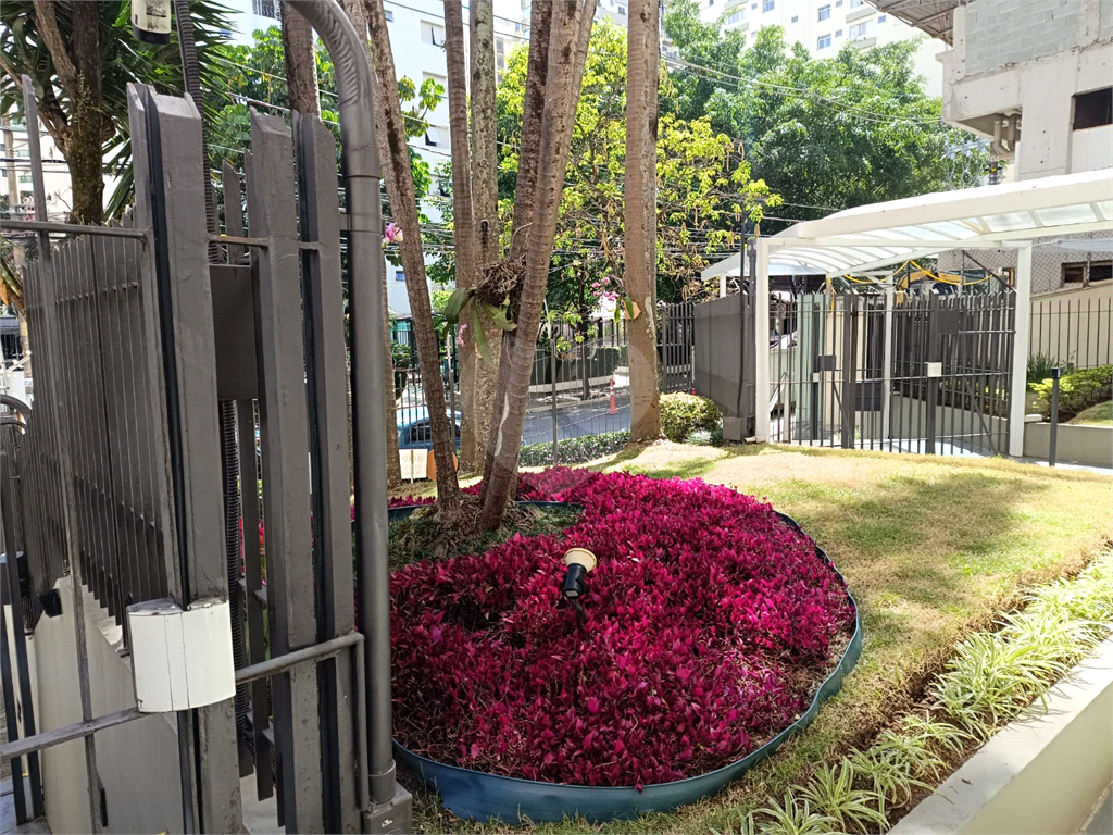 Apartamento em Moema com 3 quartos