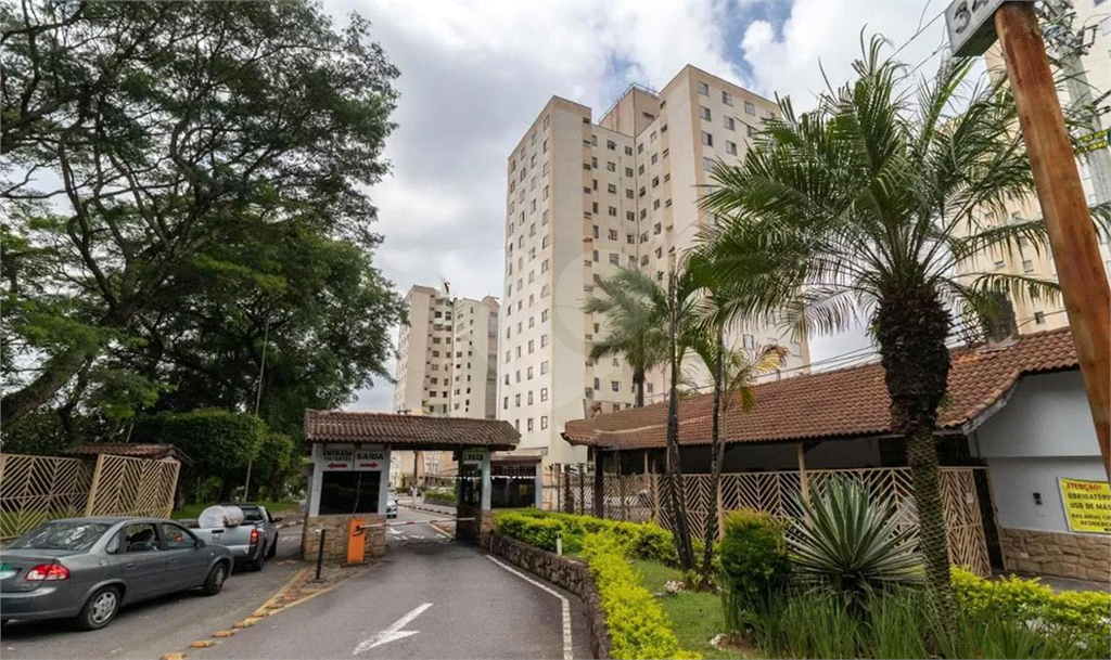 APARTAMENTO em MANDAQUI