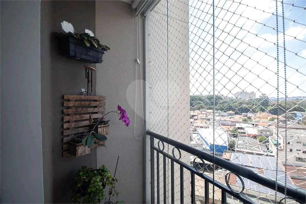 Apartamento 3 dormitórios 1 suíte a venda em São Paulo