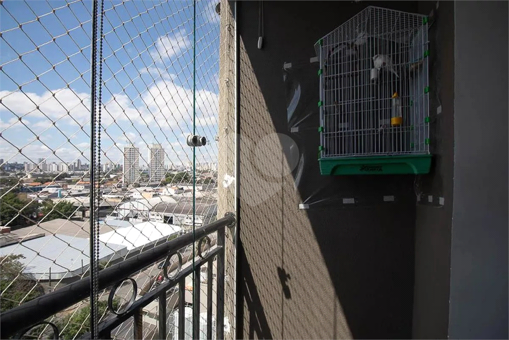 Apartamento 3 dormitórios 1 suíte a venda em São Paulo