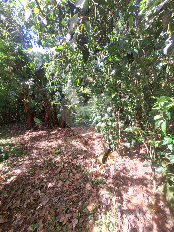 Terreno - Condomínio Parque Suiça (Serra da Cantareira)