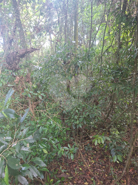 Terreno - Condomínio Parque Suiça (Serra da Cantareira)