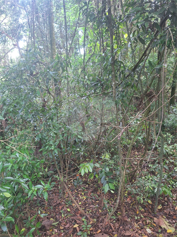 Terreno - Condomínio Parque Suiça (Serra da Cantareira)