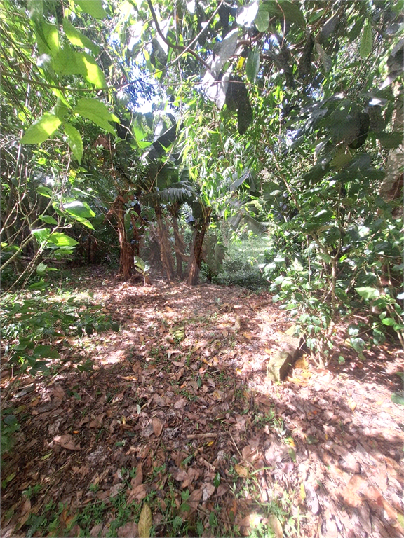 Terreno - Condomínio Parque Suiça (Serra da Cantareira)