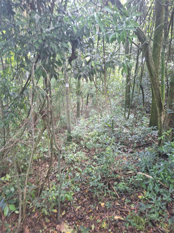 Terreno - Condomínio Parque Suiça (Serra da Cantareira)