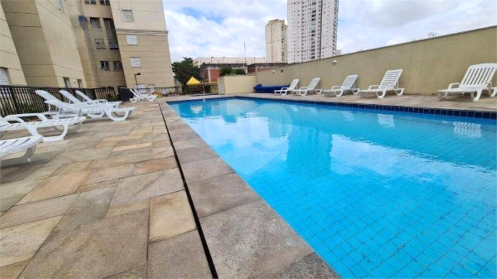 lindo apartamento no oasis