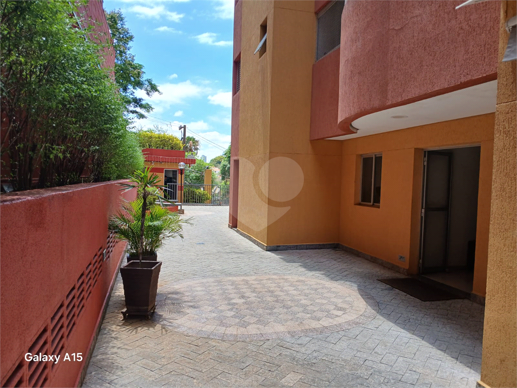 Apartamento para Locação