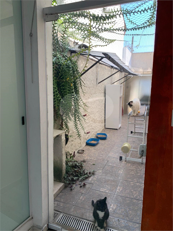 CASA TERREA MANDAQUI/1 QUADRA DA AV. ENG CAETANO ALVARES