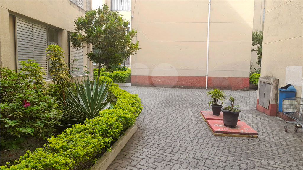 APARTAMENTO VILA INVERNADA - JAÇANA