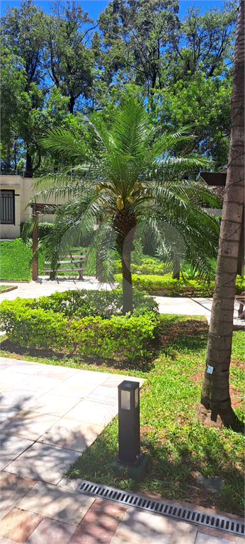 APARTAMENTO em LIMÃO