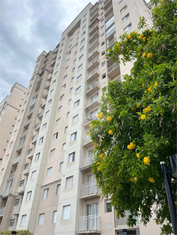Apto Lauzane Horto
Apartamento à Venda na Av. Parada Pinto!