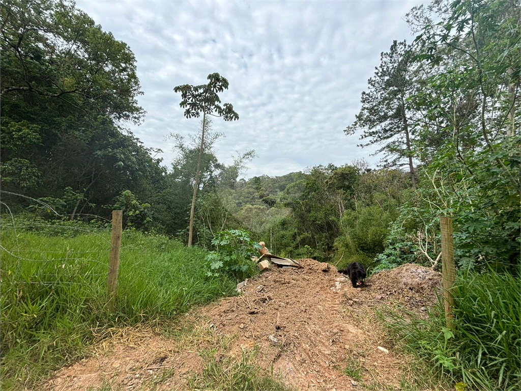 TERRENO em RIO ACIMA