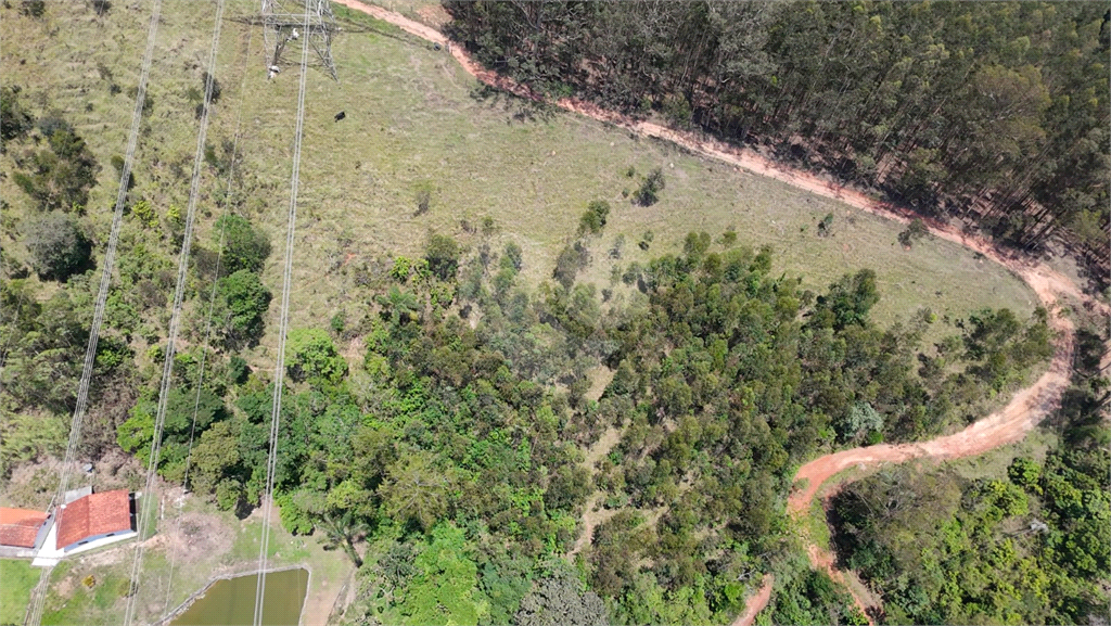 Terreno, 2 hectares - Foto 3