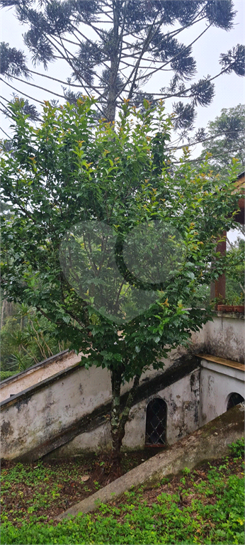 Casa de Condomínio, 4 quartos - Foto 63