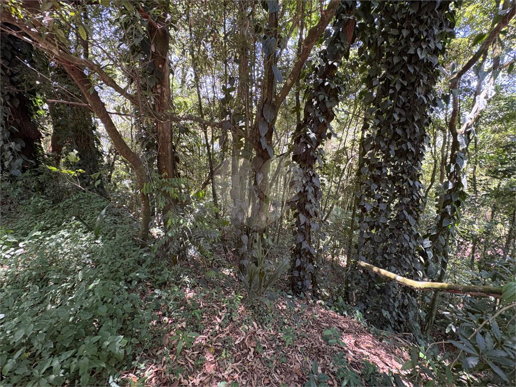 Terreno, 1822 m² - Foto 14