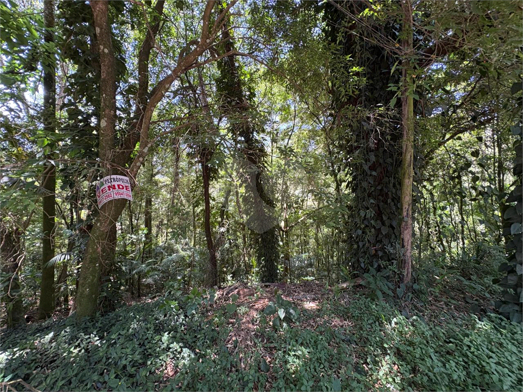 Terreno, 1822 m² - Foto 6