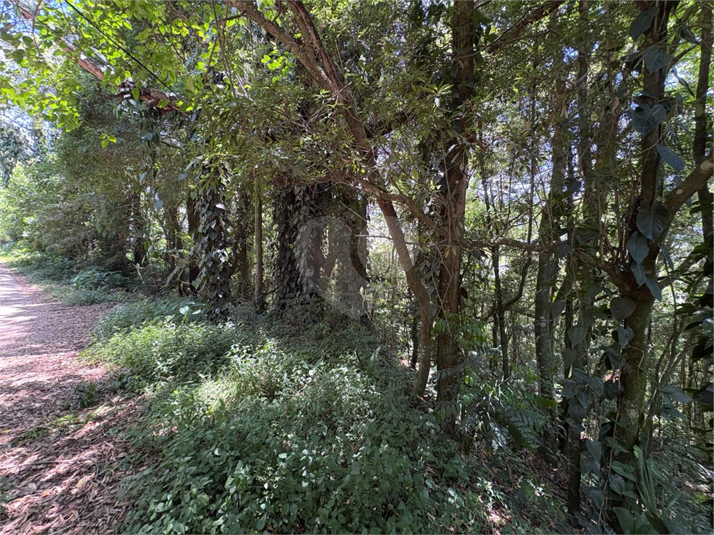 Terreno, 1822 m² - Foto 2