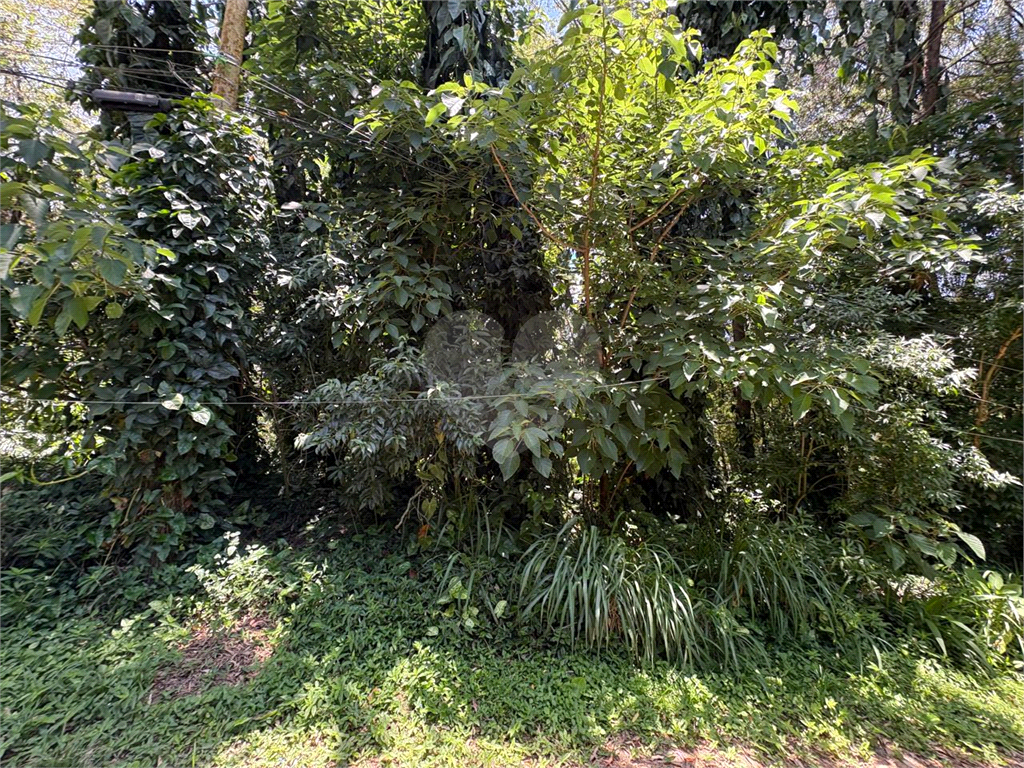 Terreno, 1071 m² - Foto 8