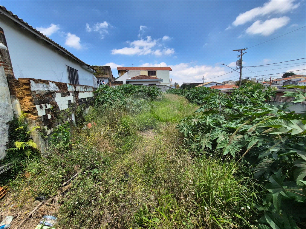 Terreno, 290 m² - Foto 7