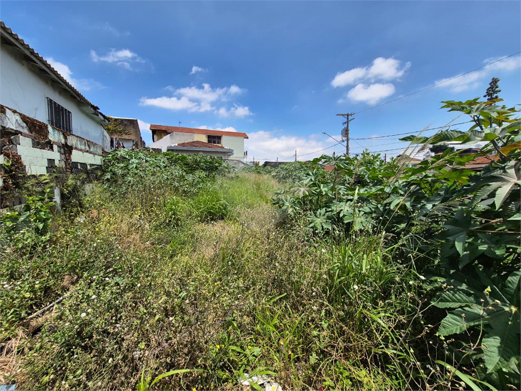 Terreno, 290 m² - Foto 6