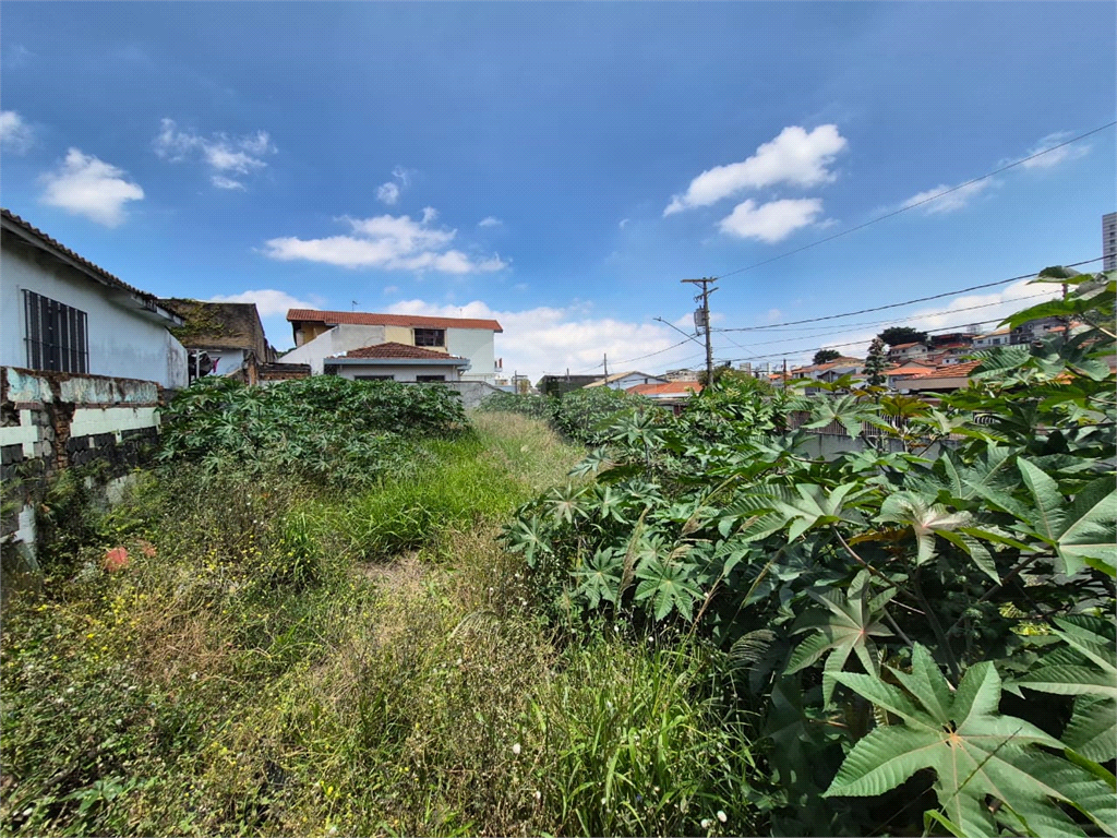 Terreno, 290 m² - Foto 4