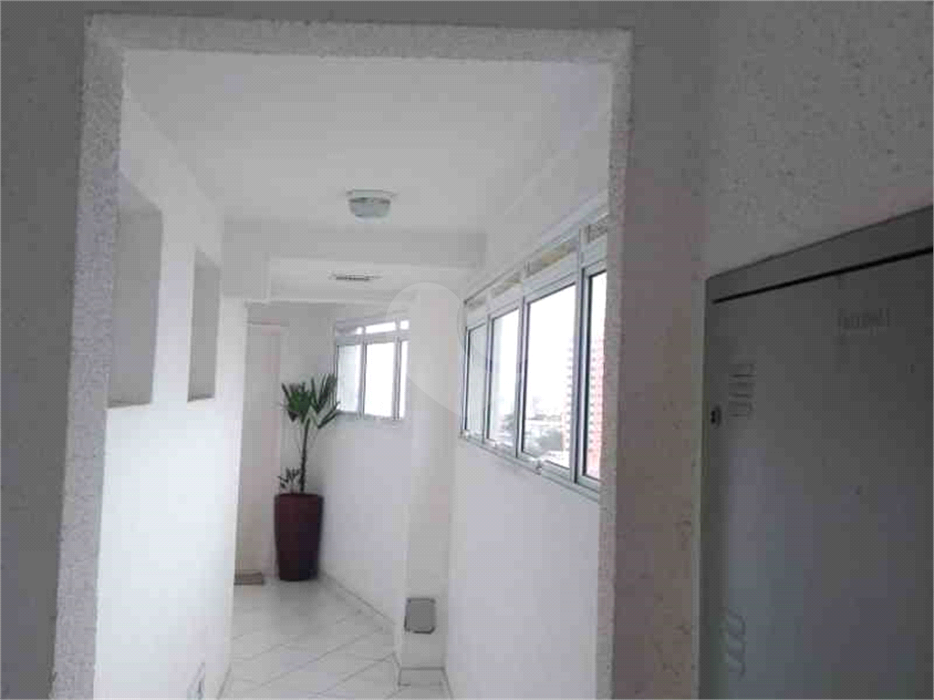 Condomínio Terraços do Horto 2 dormitórios 1 suíte 1 vaga lazer de clube - Mandaqui - SP - Capital