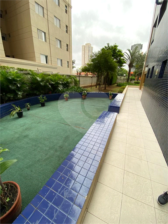 Apartamento Com 3 Quartos para Locação na Mooca/SP