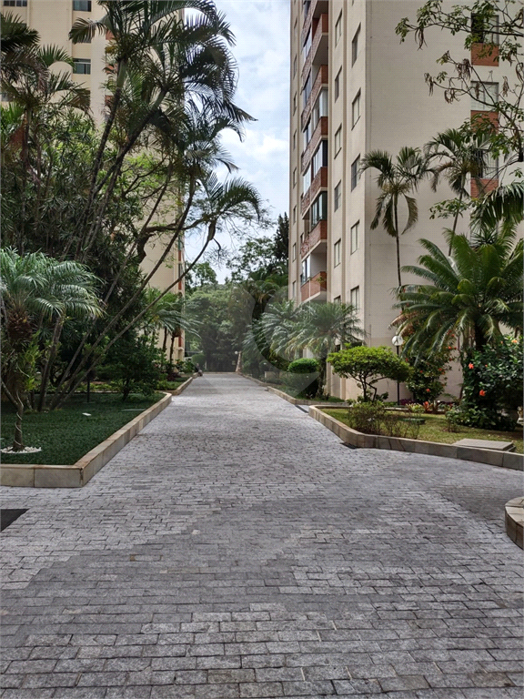 Apartamento à Venda – 3 Dormitórios, Suíte e Lazer Completo
Excelente apartamento com 3 dormitórios, sendo 1 suíte, em condomínio com ampla infraestrutura de lazer. Possui sala para dois ambientes, lavabo, cozinha funcional, lavanderia e aquecimento cen