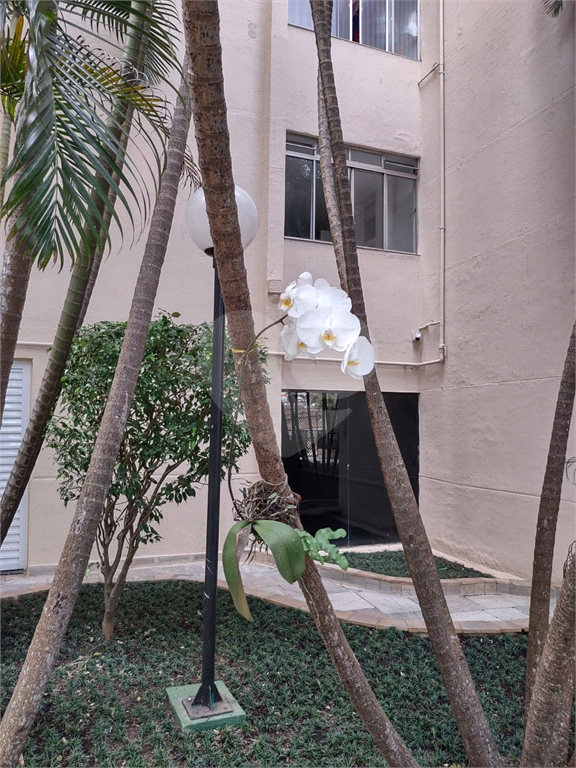 Apartamento à Venda – 3 Dormitórios, Suíte e Lazer Completo
Excelente apartamento com 3 dormitórios, sendo 1 suíte, em condomínio com ampla infraestrutura de lazer. Possui sala para dois ambientes, lavabo, cozinha funcional, lavanderia e aquecimento cen