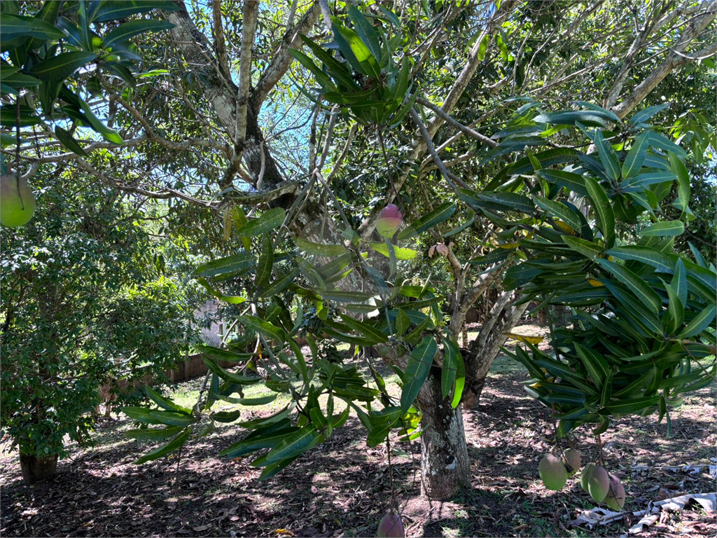 Casa, 4 quartos, 800 m² - Foto 15