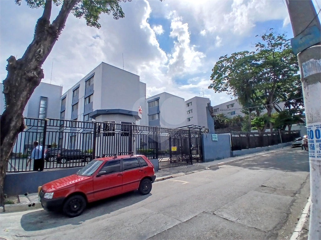 Oportunidade - o apto mais bonito do condomínio