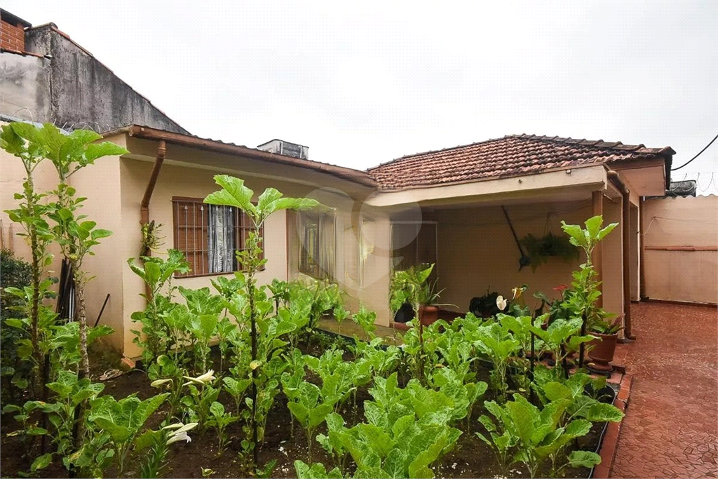 Casa, 2 quartos, 350 m² - Foto 25