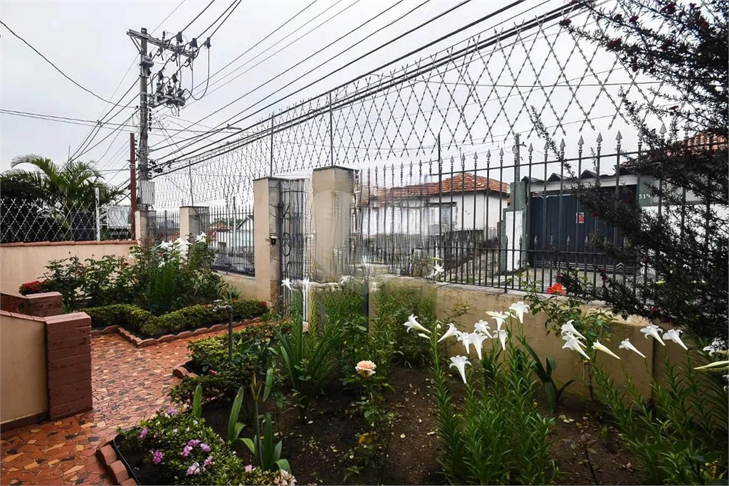 Casa, 2 quartos, 350 m² - Foto 30