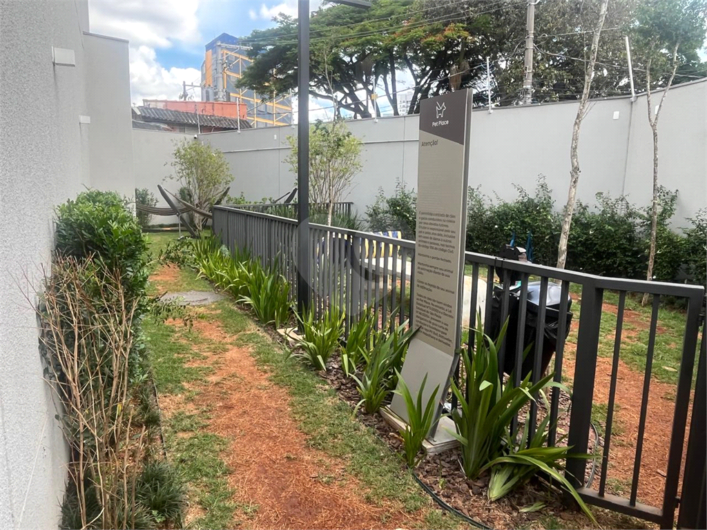 Apartamento para locação - Novo 2 dorm - Recem montado - Stº Amaro