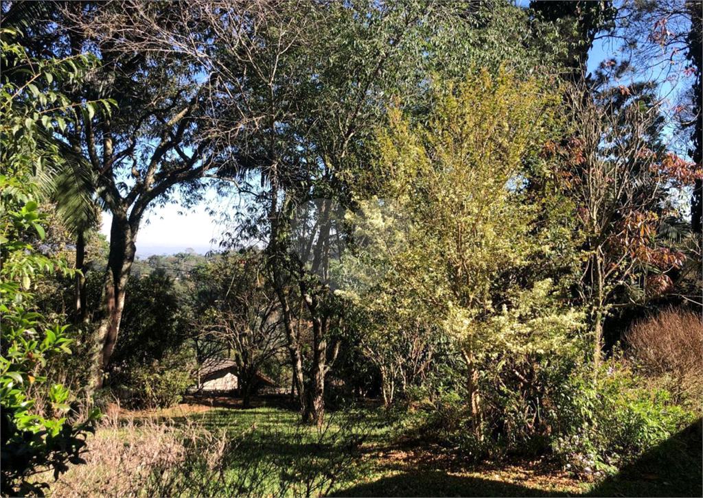 Casa, 5 quartos, 423 m² - Foto 19