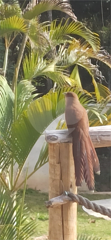 Casa de Condomínio, 3 quartos - Foto 29