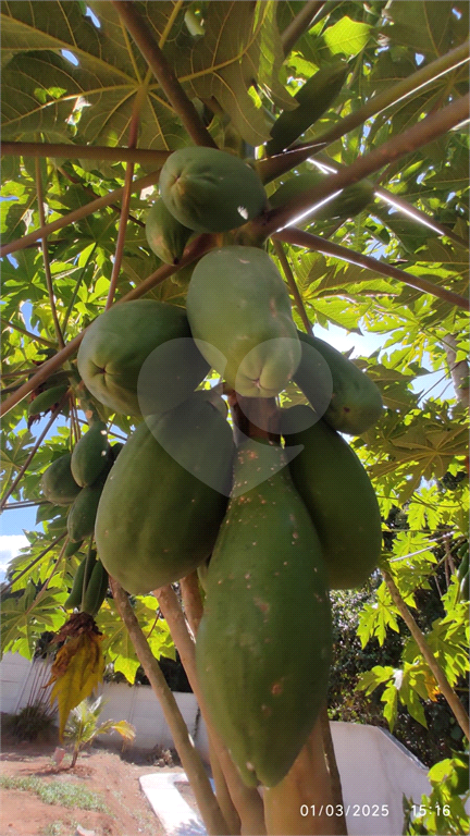 Casa de Condomínio, 3 quartos - Foto 16