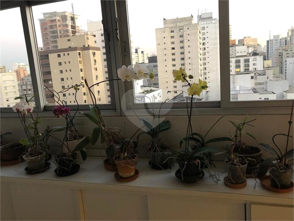 apto 3 quartos + 1 vaga - Higienopolis