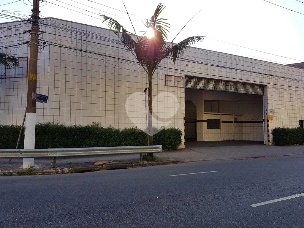 GALPÃO COMERCIAL - VILA LEOPOLDINA