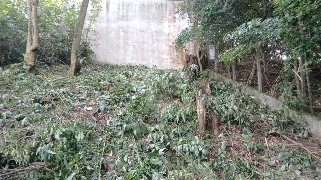TERRENO em SERRA DA CANTAREIRA