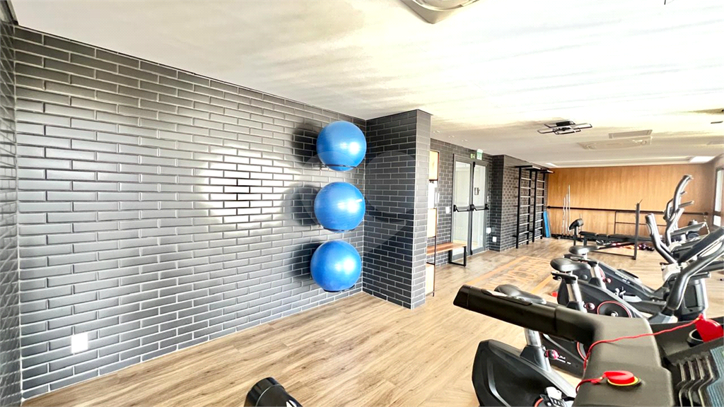 Apartamento - locação - Metro Parada Inglesa - Jardim São Paulo