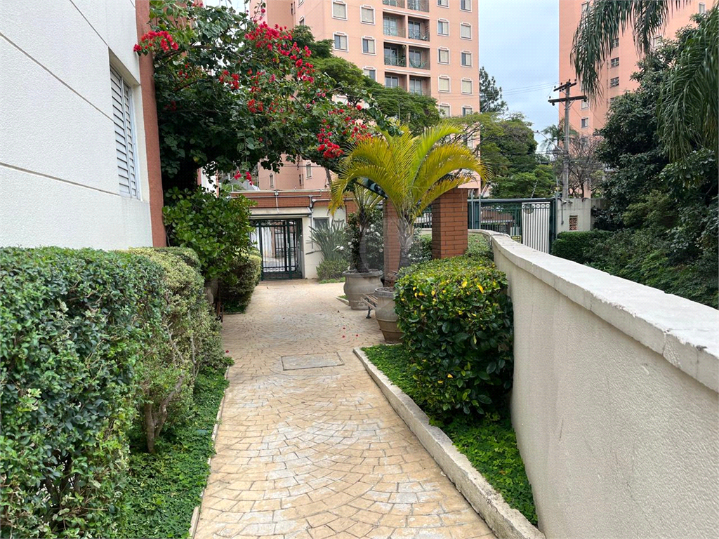 Apartamento para Aluguel – Condomínio EcoLife Cidade Universitária | Butantã – São Paulo