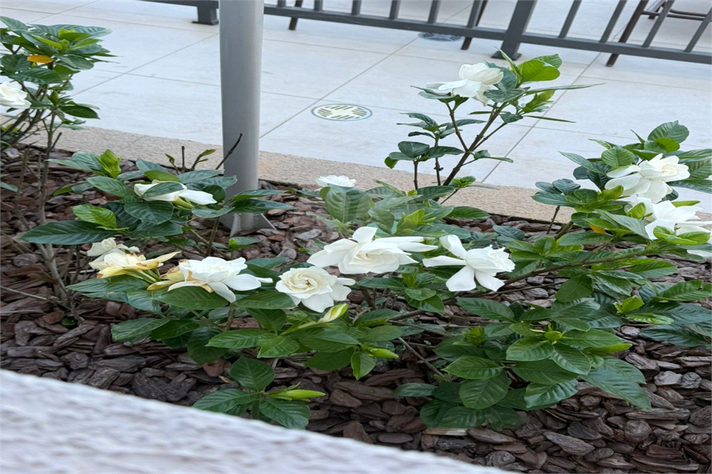 Apartamento com 2 dormitórios e 1 vaga Na Vila Andrade 