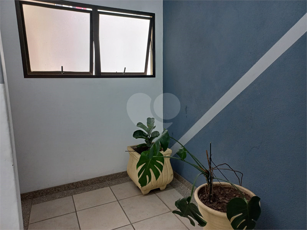 SALAS em ALTO DA LAPA