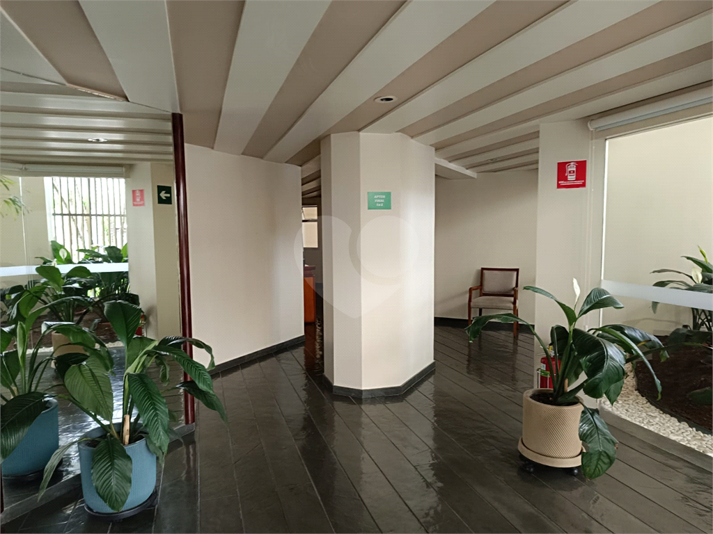 Apartamento com 3 quartos no Brooklin